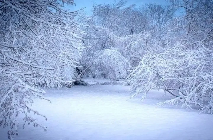 هشدار هواشناسی مازندران | بارش شدید و احتمال برف در ارتفاعات